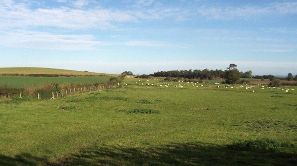 Fields near Kirklington Pastures south east of Kirklington, beside the B6267 Masham/Thirsk Rd.