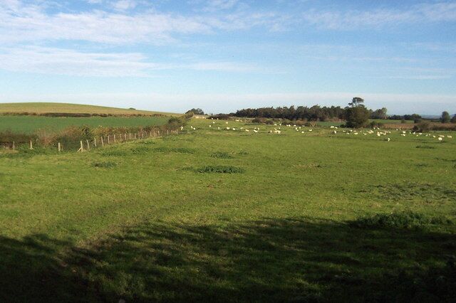 A green field with a fence, trees, and a distant hill.