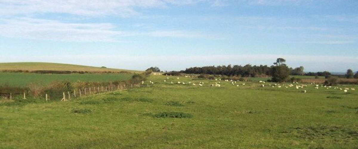 A green field with a fence, trees, and a distant hill.