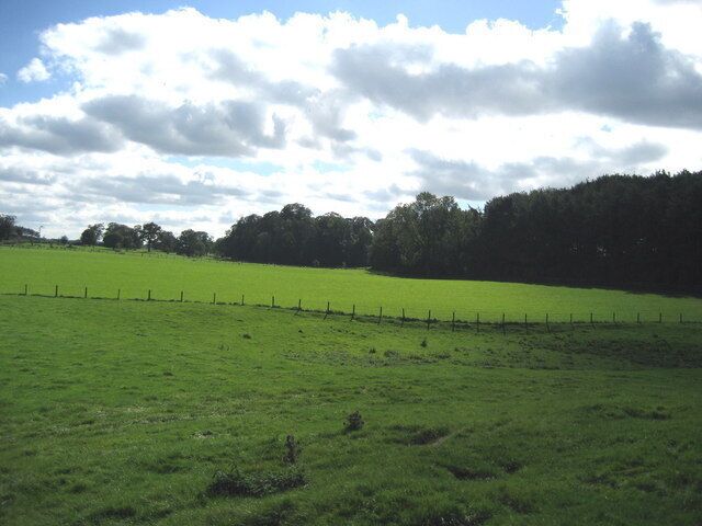 Fields falling away to Camp Hill. The boundary of Camp Hill is marked by the line of trees to the south. It is not a hill. A stately home now given over to team building exercises for high flying executives