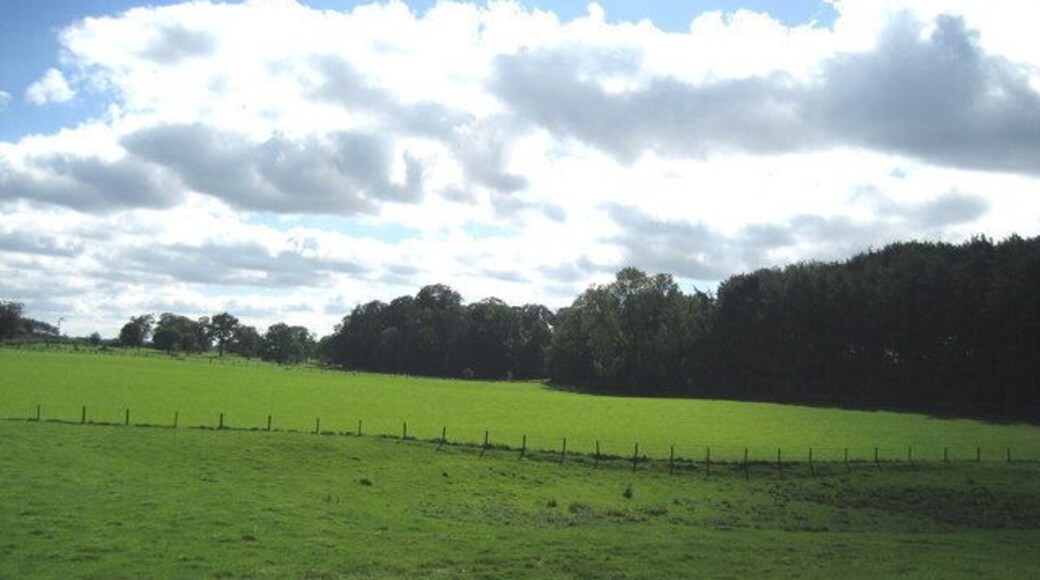 Fields falling away to Camp Hill. The boundary of Camp Hill is marked by the line of trees to the south. It is not a hill. A stately home now given over to team building exercises for high flying executives