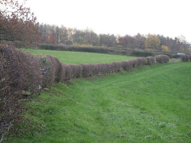 On Foot From Newton-le-Willows. Along a Public Footpath towards Finghall.