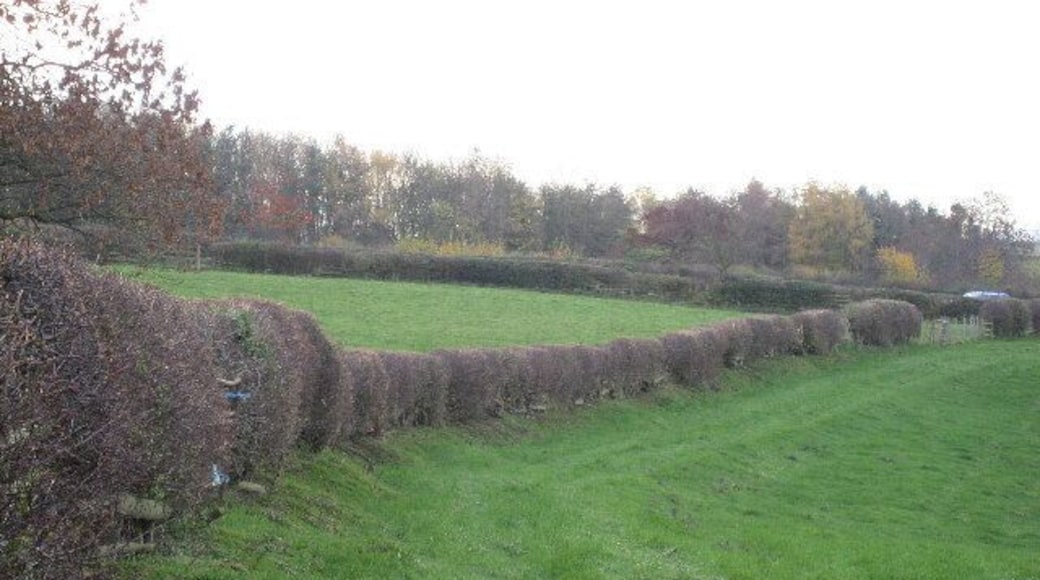 On Foot From Newton-le-Willows. Along a Public Footpath towards Finghall.