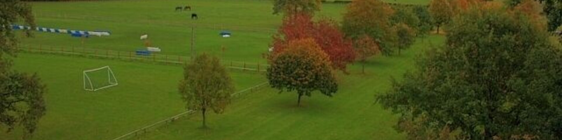 A grassy field with trees and a soccer goal.