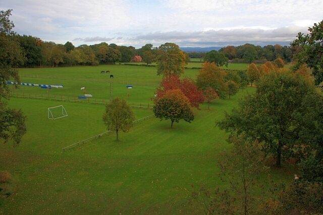 A grassy field with trees and a soccer goal.