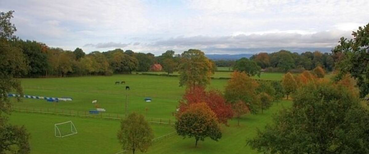 A grassy field with trees and a soccer goal.