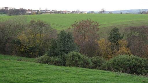 Looking Towards Finghall village, North Yorkshire, from the south-east.
