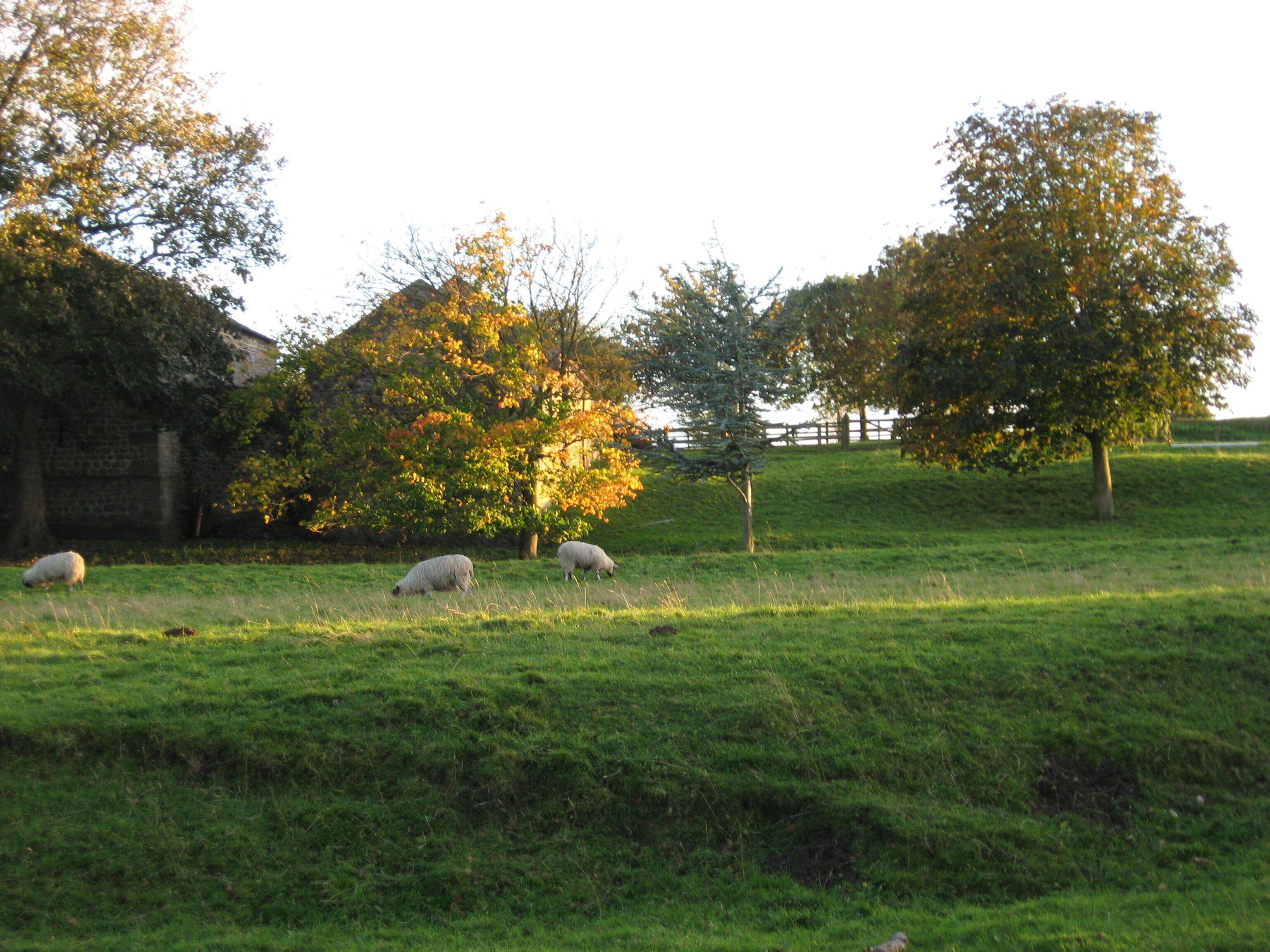 View from the former "New Inn", South View, Hunton.