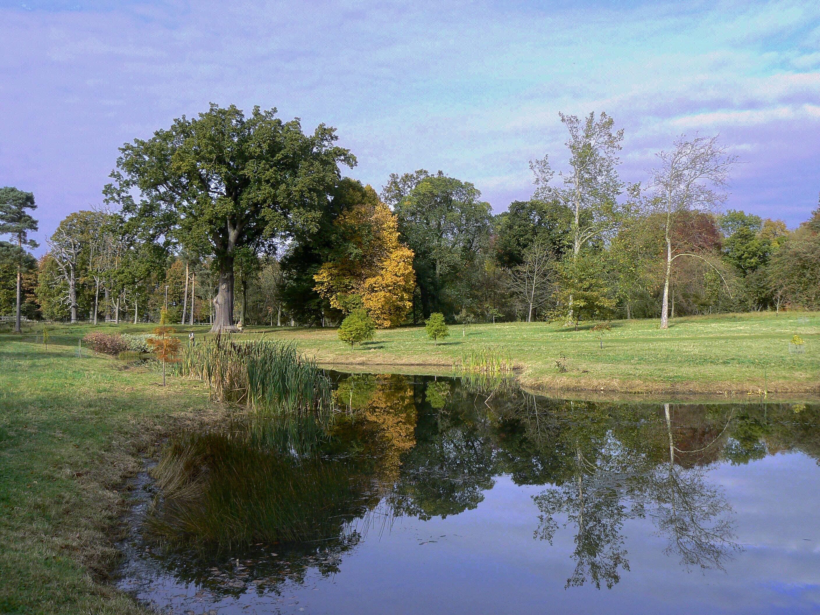 Reflections at Thorp Perrow A cold calm autumn day allowed this picture of reflections in the top end of the lake to be taken