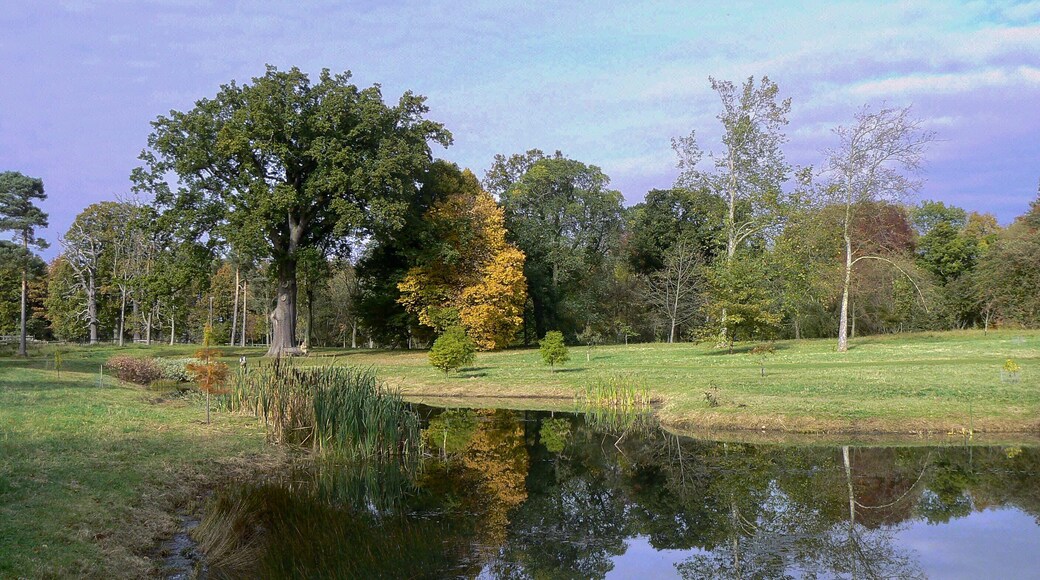 Reflections at Thorp Perrow A cold calm autumn day allowed this picture of reflections in the top end of the lake to be taken