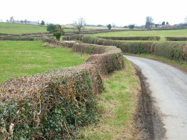 Road between Arrathorne and Hunton.