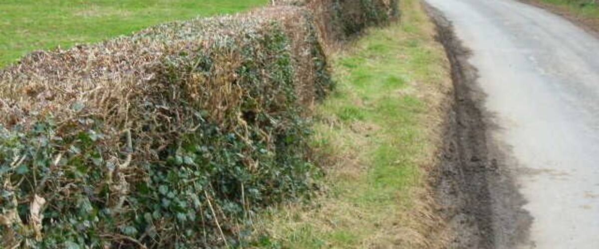 Road between Arrathorne and Hunton.