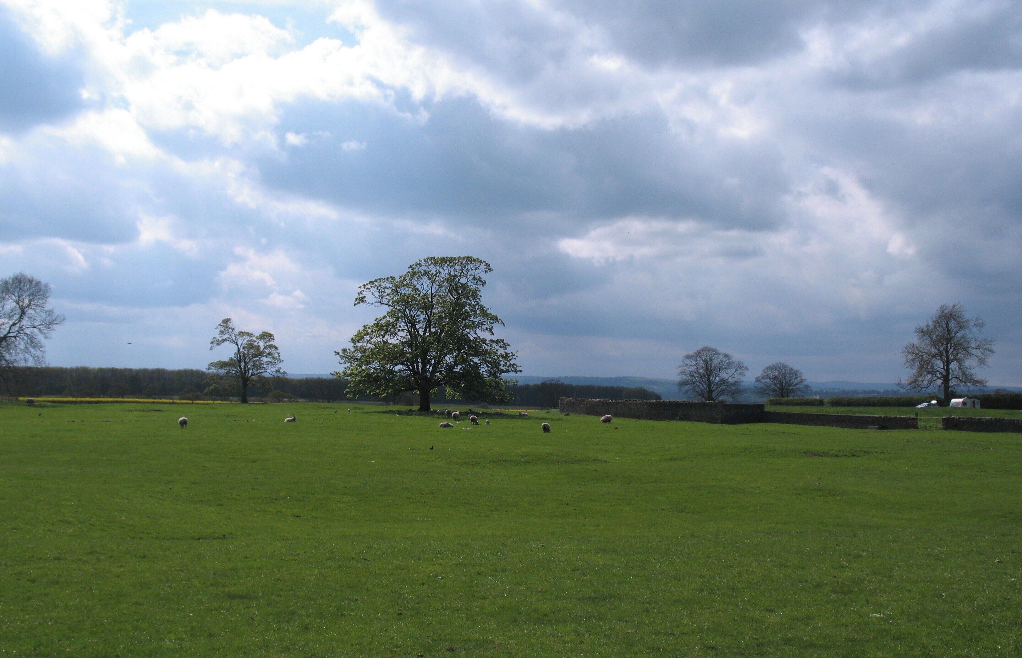 Medieval village site, Howgrave