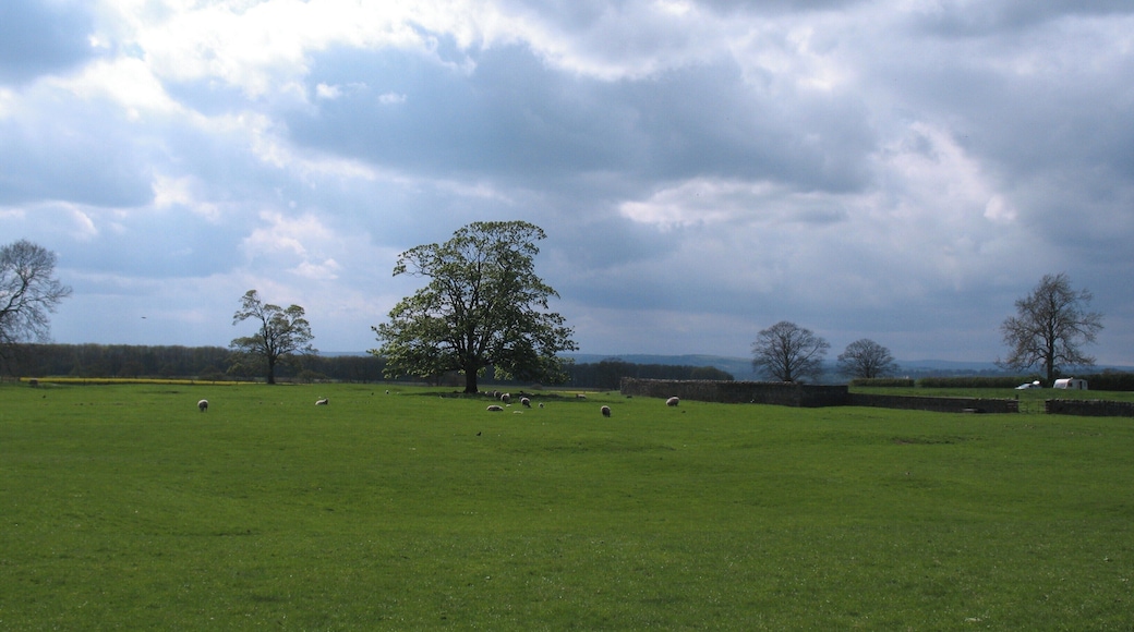 Medieval village site, Howgrave