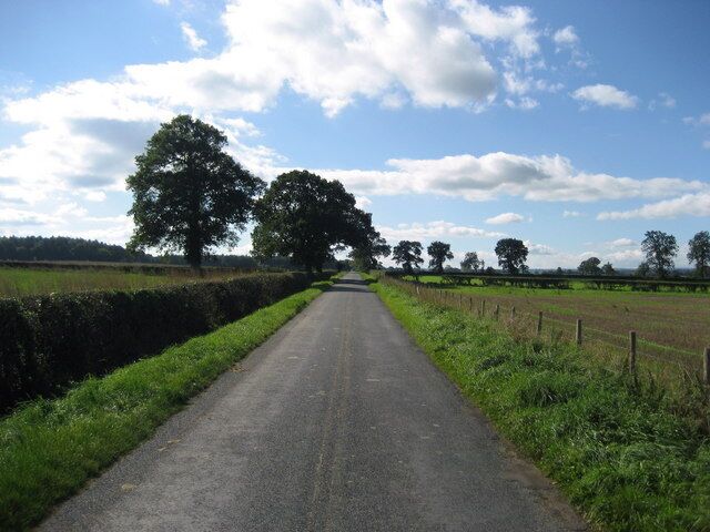 Road approaching Camp Hill Plantation. Arrow straight thoroughfare connecting Carthorpe to Nosterfield.