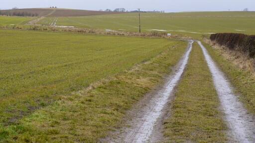 Walk to Duddo Stone Circle. The stone circle comes into view on the left horizon providing a feeling of expectation that builds over the walk. When you eventually arrive at the five stones 1498161 they certainly are no let down, both in appearance and location.