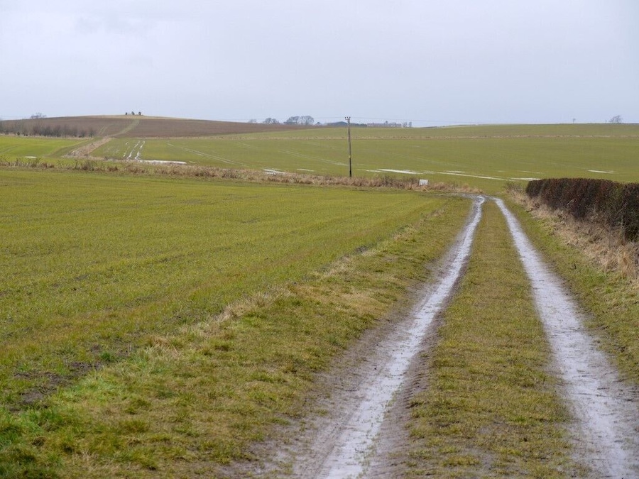 Walk to Duddo Stone Circle. The stone circle comes into view on the left horizon providing a feeling of expectation that builds over the walk. When you eventually arrive at the five stones 1498161 they certainly are no let down, both in appearance and location.
