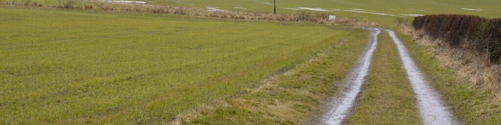 Walk to Duddo Stone Circle. The stone circle comes into view on the left horizon providing a feeling of expectation that builds over the walk. When you eventually arrive at the five stones 1498161 they certainly are no let down, both in appearance and location.