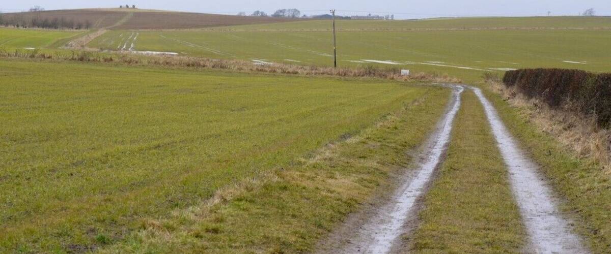 A rural landscape with a muddy path leading through fields.