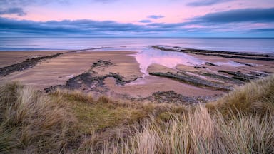 Cocklawburn Beach sand and rocks, a rural beach within Northumberland Coast Area of Outstanding Natural Beauty (AONB), located just south of Berwick-upon-Tweed