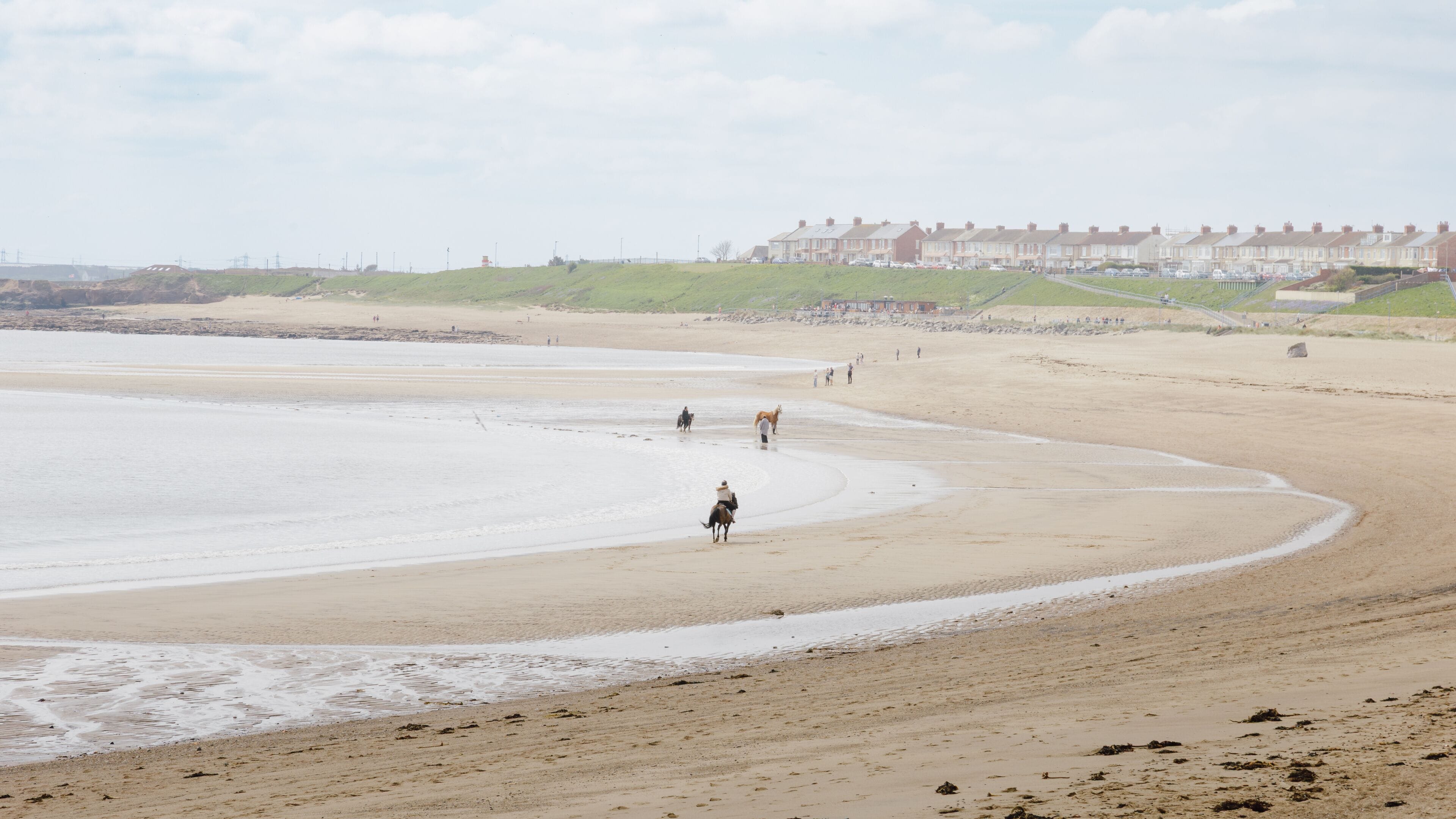 Horses on the Beach at Newbiggin‑by‑the‑Sea, May 2026