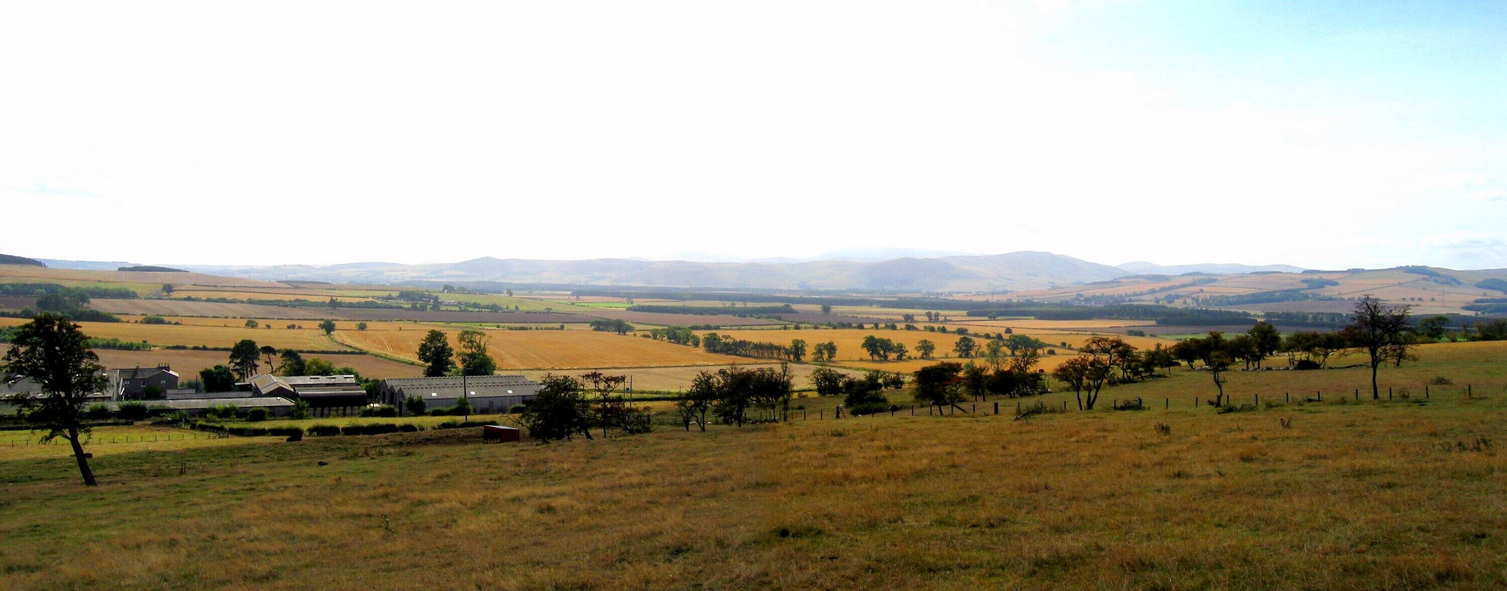 Panoramic view of the Cheviots above Ford Hill farm Hedgehope and Cheviot itself are just visible in the far distance. The main hills visible are those on the northern edge of the Cheviot Hills seen over the flat extent of the Millfield Plain. This housed a large lake in prehistoric times, fed by the Rivers Till and Glen.