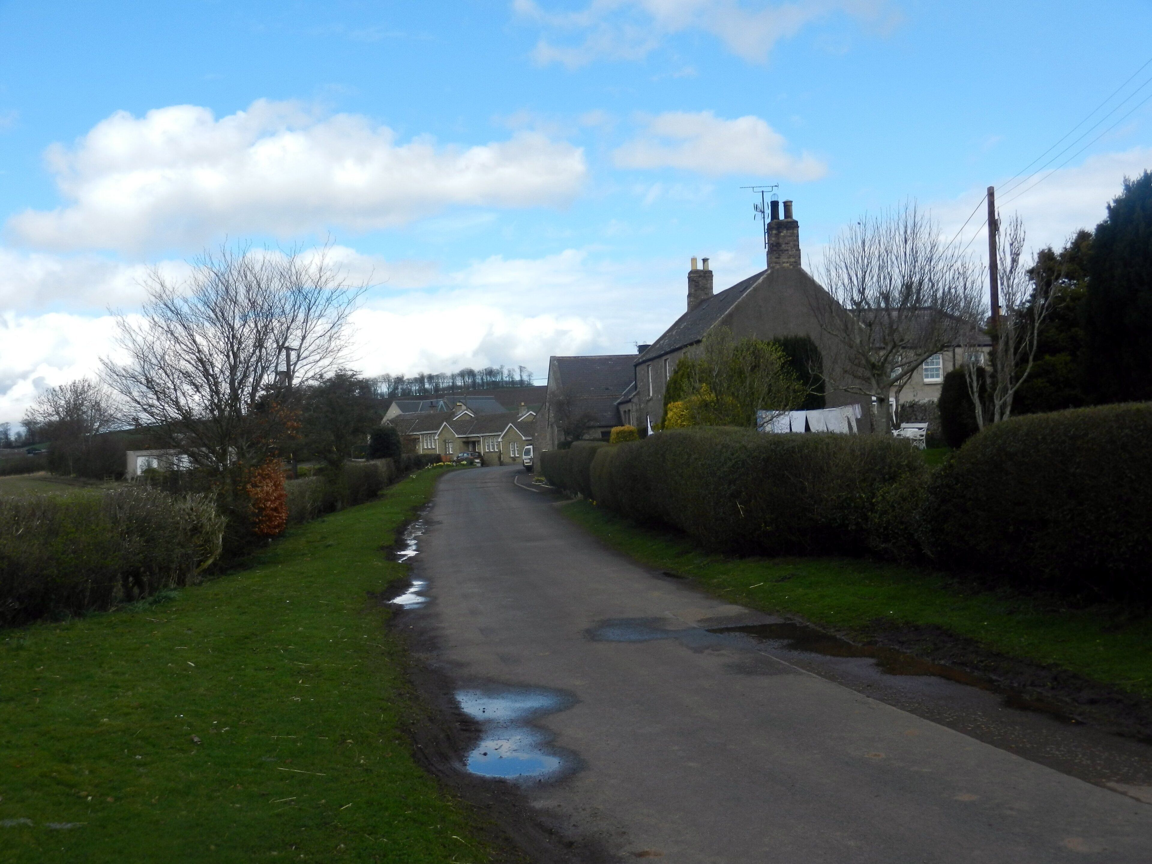 A rural road with puddles, surrounded by houses and hedges.