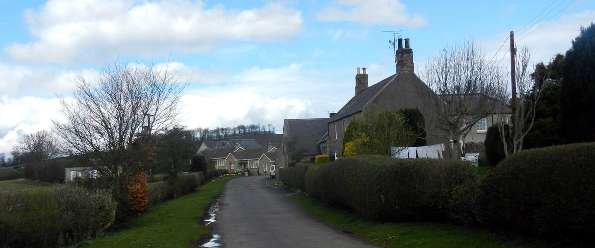 A rural road with puddles, surrounded by houses and hedges.