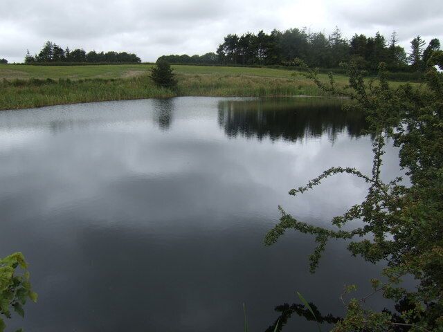 Small lake north of Lowick A large natural pond east of the B6525.