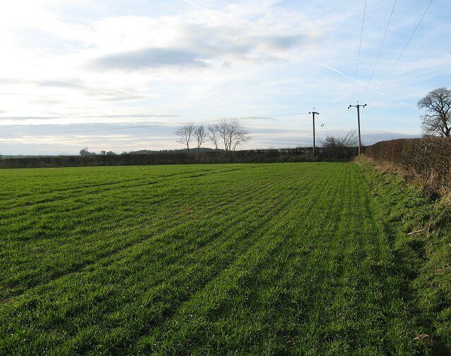 Winter crops, Paxton Land ploughed, cultivated and sown soon after harvest. Common practice especially in England, and catching on in Scotland, where most barley is still spring sown. Has an environmental cost - reduced winter food supplies for birds and I have seen terrible soil erosion in winter rains. Against this productivity is higher, with the added benefit of a July harvest.
