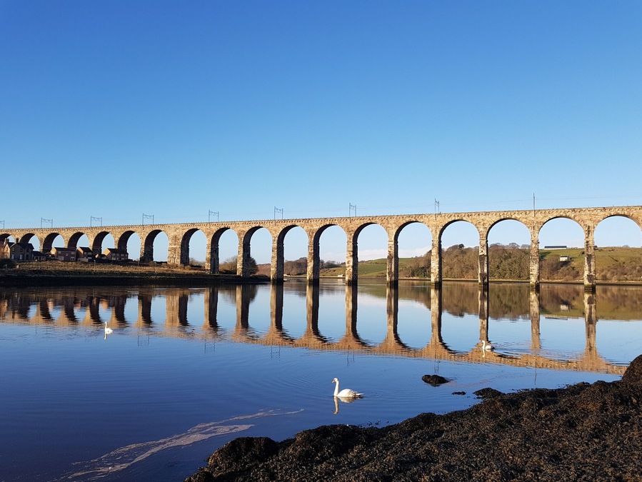 Beautiful New Years Day, flat calm river Tweed with the Royal Border Bridge
