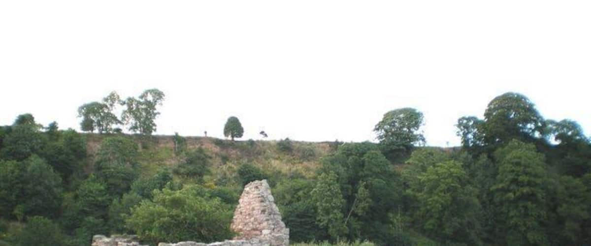 A stone ruin on a grassy hill with dense trees in the background.