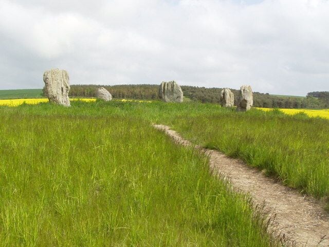 Duddo Stones The farmer has kindly cut a path from the NW through the rape crop to allow access to this circle of strangely weathered stones.