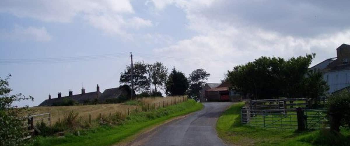 A rural road with houses on one side and a fenced field on the other.