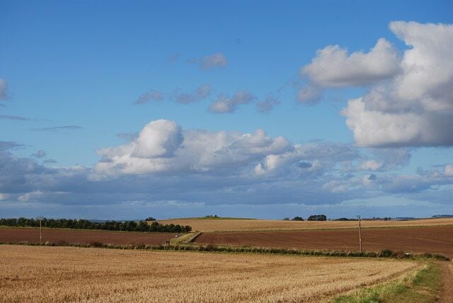 Track towards Duddo Stone Circle Stone just visible in the distance on the slight hill