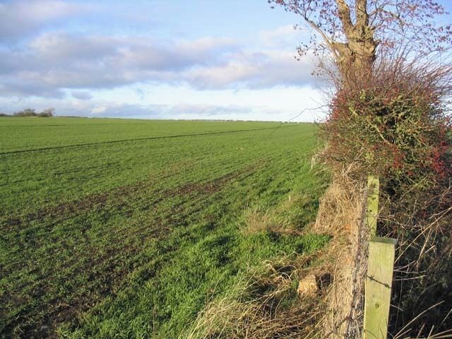Arable farmland At Bowsden East Farm.