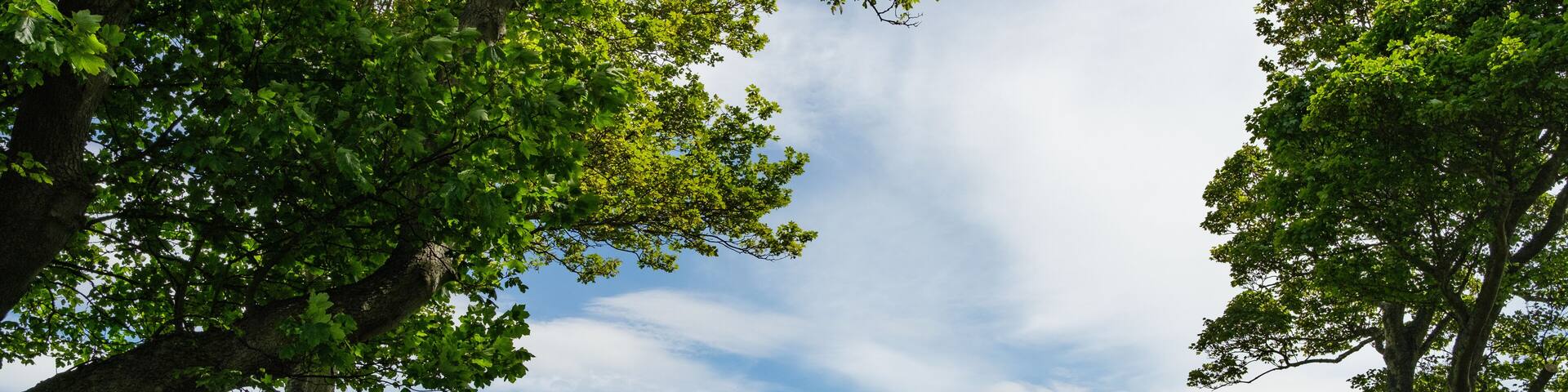 Two people sat on a bench on the City walls around Berwick-upon-Tweed in Northumberland, UK.