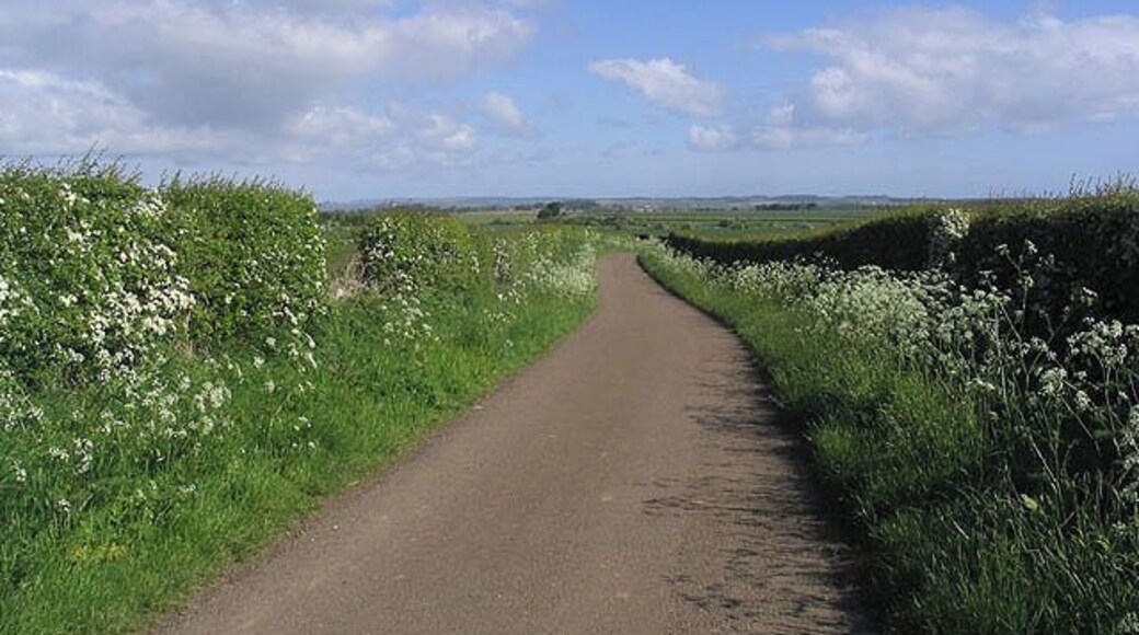 A country road to the north of Lowick
