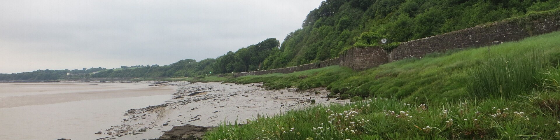 Severn Beach near Gatcombe - June 2016