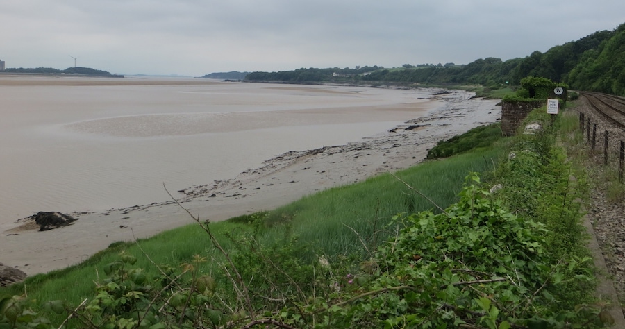 Severn Beach near Gatcombe - June 2016