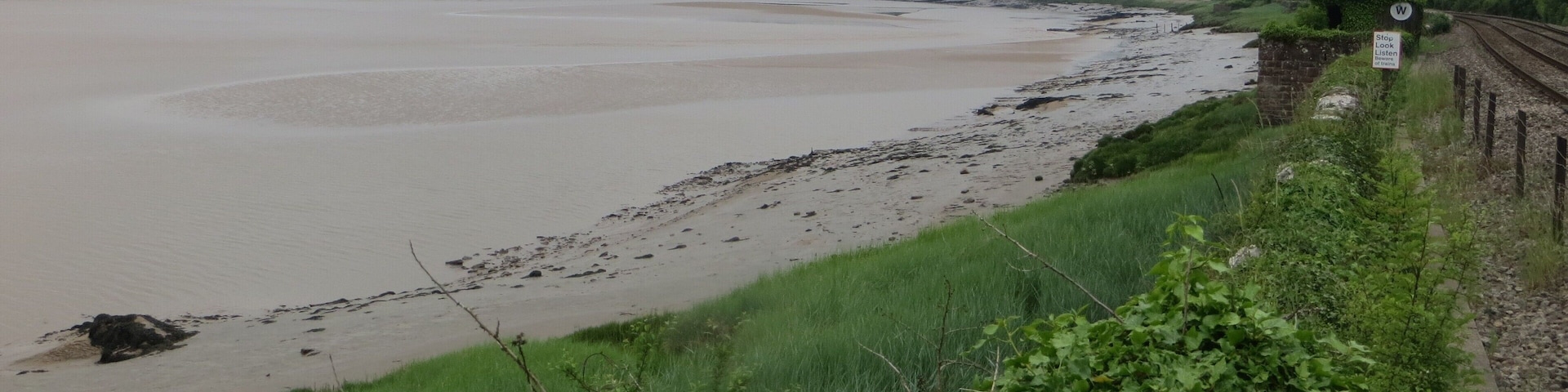 Severn Beach near Gatcombe - June 2016