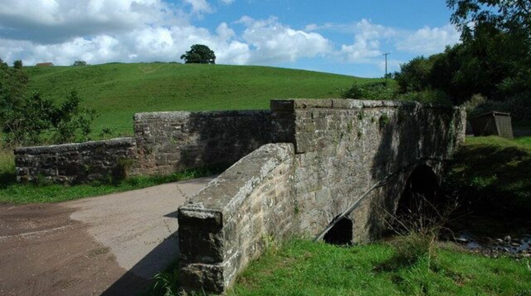 Bridge over Soudley Brook This bridge over Soudley Brook is presumably one of the two bridges marked on the OS map.