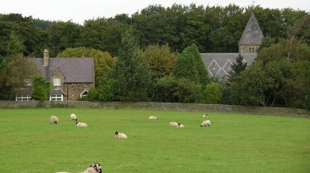 Across the sheep paddock to Hunstanworth