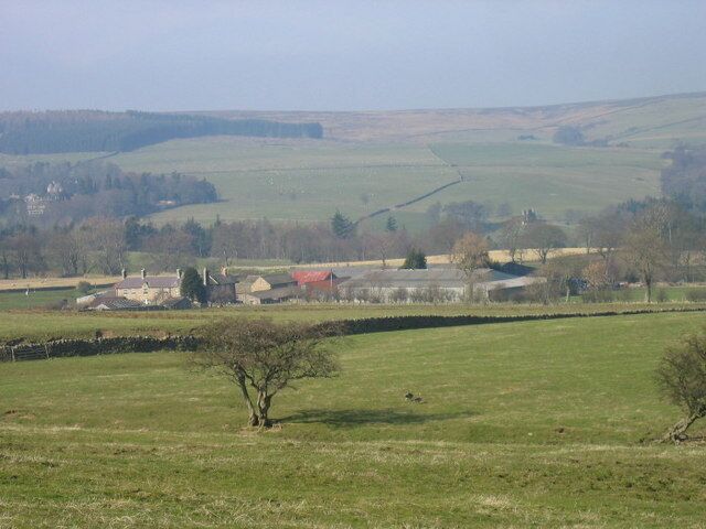 Paisagem rural com campos, algumas casas dispersas e uma árvore destacada em primeiro plano.
