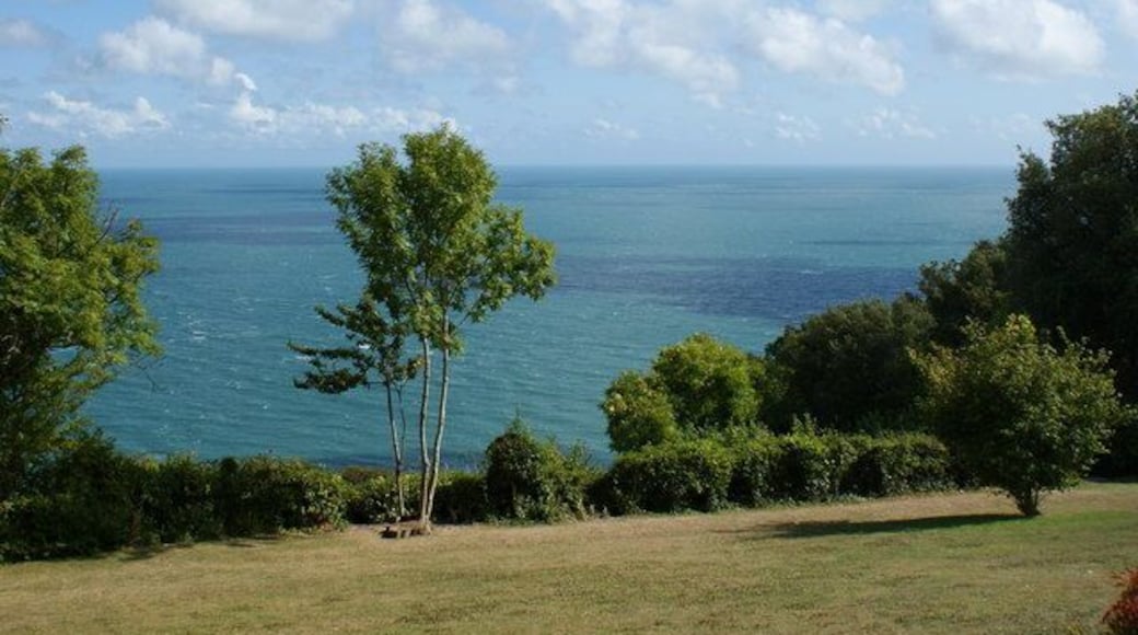 View Below The Smugglers' Tea Rooms The grassed area in the foreground belongs to the Tea Room, but my eye was drawn, past the tree, to the deep blue of the water.