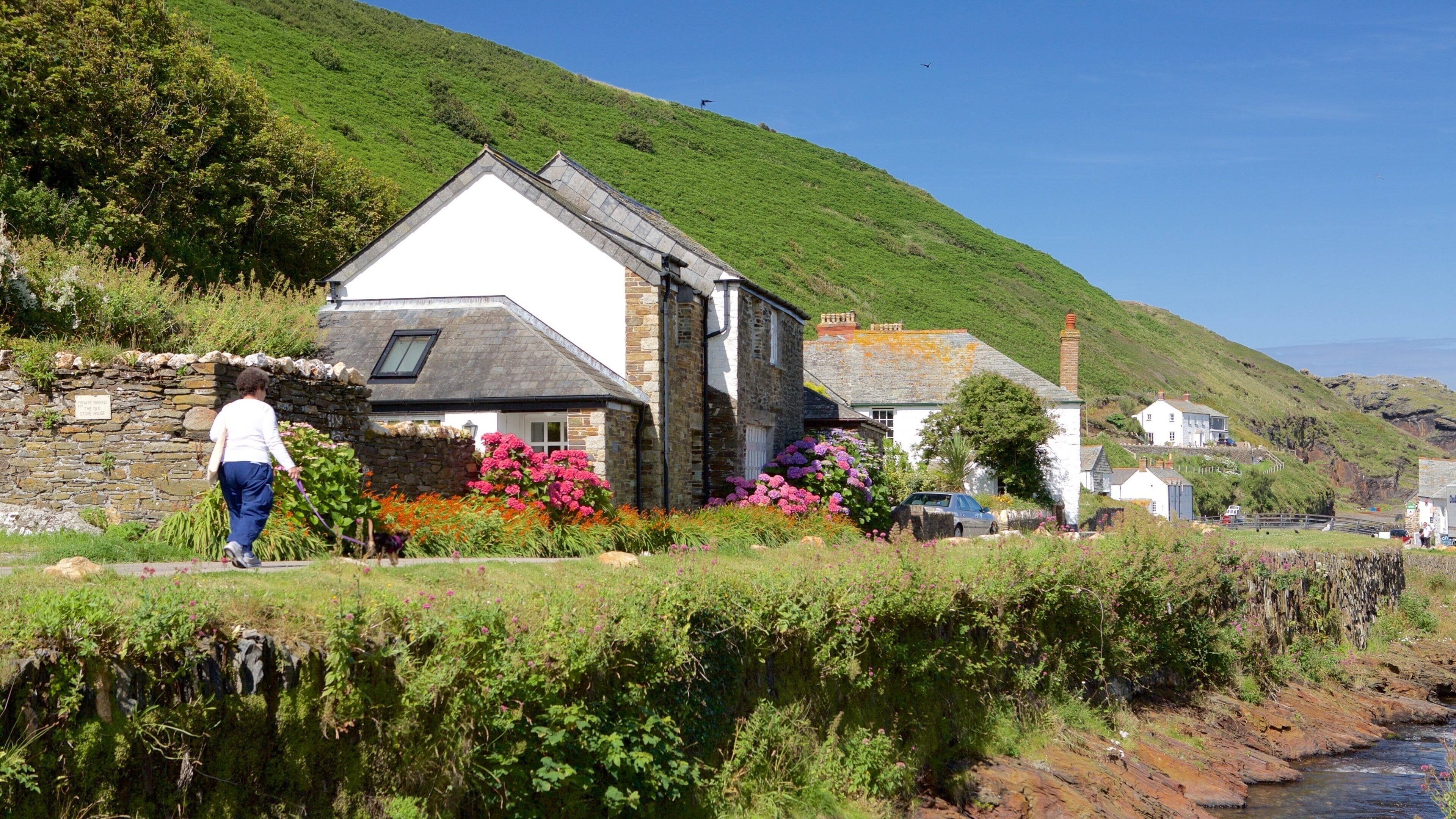 Boscastle showing a coastal town, a house and a river or creek