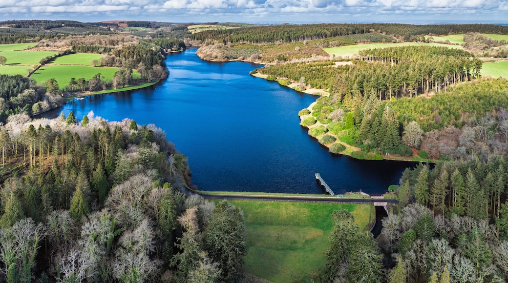A river winding through a forested landscape with a bridge crossing over the water.