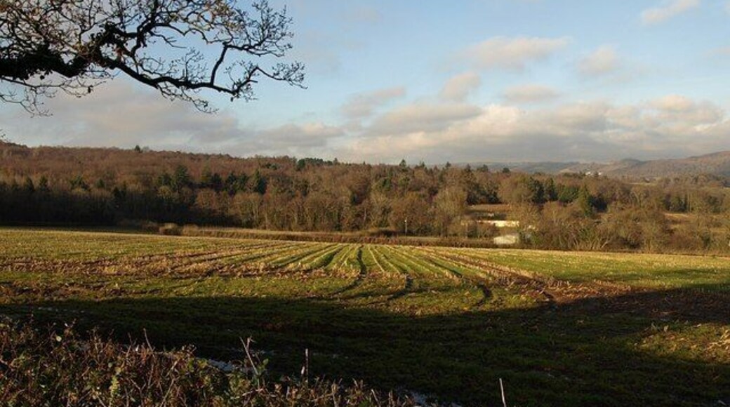 Field near Brimley. A view from the bend shown in 1078270 and across the stubble field shown in 1078133, with farm buildings at 1077918, and Colehays Plantation rising behind.