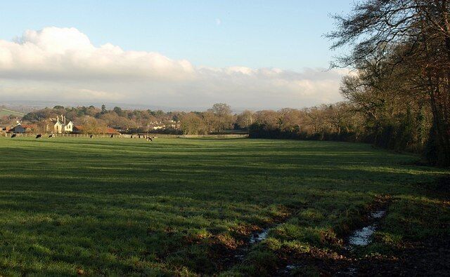 Field near Challabrook Farm. An overlap with 1077787 on the left. The field is bounded by Bovey Pottery Leat on the right, along the line of trees.