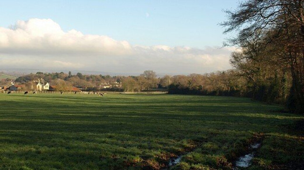 Field near Challabrook Farm. An overlap with 1077787 on the left. The field is bounded by Bovey Pottery Leat on the right, along the line of trees.